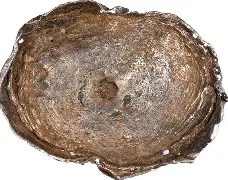 蒂h-蠌+轤绁剭?眪r=?{?锞0筌^|2?锖 蒂h-蠌+轤绁剭?眪r=?{?锞0筌^|2?锖